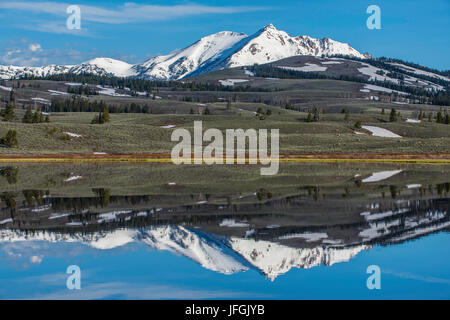 Reflexionen über Swan Lake, Yellowstone-Nationalpark, Wyoming, USA Stockfoto