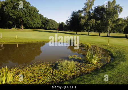 Blick über den Teich nach 6. Grün, East Course Sundridge Park Golf Club, Bromley, Kent, England Stockfoto