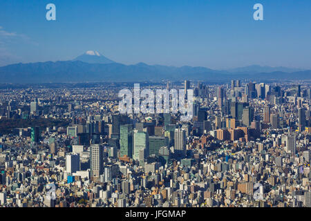 Japan, Tokyo City, Zentrum von Tokio und Mount Fuji Stockfoto