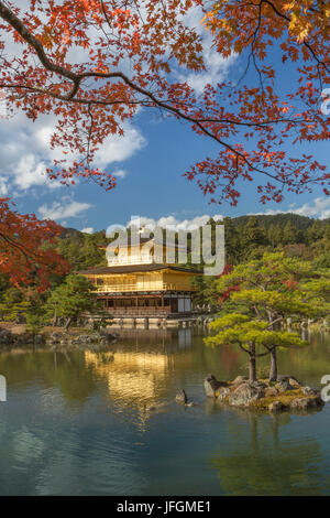Japan, Kyoto City, den goldenen Tempel Kinkaku-Ji Stockfoto