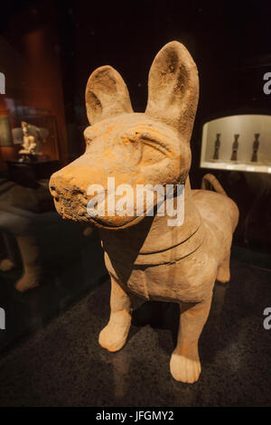 China, Shanghai, Shanghai Museum, östliche Han Dynastie (25-220 n. Chr.) Keramik Figur eines Hundes Stockfoto