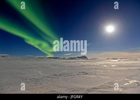 Island, Island, Nord-Ost, Nordlicht, Aurora Borealis schließen Holsandur, Bundesstraße 87 nach Husavik Stockfoto