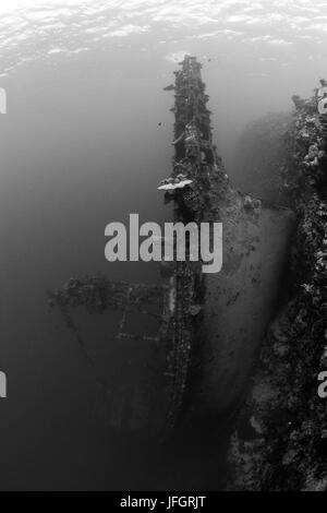 Aufrechte Thunfisch Boot Wrack, Marovo Lagune, den Salomon-Inseln Stockfoto