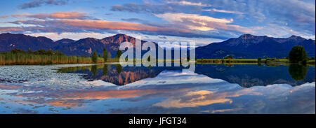 Deutschland, Bayern, Oberbayern, bayerische Ausläufern der Alpen, Kochelmoos, Kochler Moore Kochler Moos, Blick über die Eichsee auf Jochberg, Herzogstand und Heimgarten, Bayerische Voralpen Stockfoto