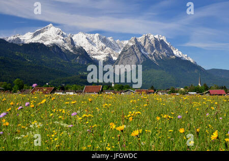 Deutschland, Bayern, Garmisch-Partenkirchen, Blick auf einen Ort, Zugspitze Gruppe, Blumenwiese Stockfoto