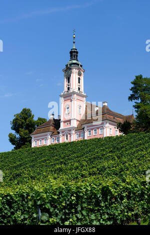 Kloster Birnau, Münster, Weinberg, Lake Constance, Baden-Württemberg, Deutschland Stockfoto