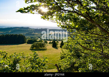 Blick auf den Hoherodskopf, Vogelsberg, Hessen, Deutschland Stockfoto