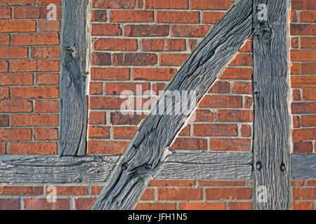 Scheunenviertel von bekam, gebaut aus den alten Ortskern, Fachwerkbauten, Detail, Fachwerk, Diagonalen Versteifung, Treenails, Ziegelausfachung, bekam, Kreis Minden-Lübbecke, Nordrhein-Westfalen Stockfoto