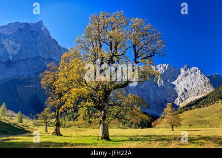 Österreich, Tirol, Karwendelgebirges, großen Ahornboden eng, enge Tal, Herbst Stockfoto