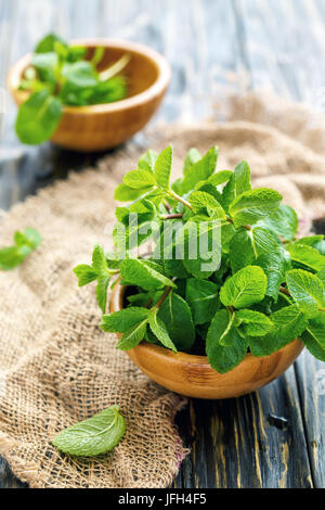 Frische Minze in eine hölzerne Schüssel. Stockfoto