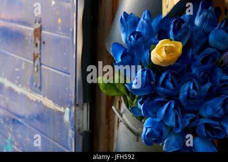 Tulpen in Amsterdam Flower Shop Stockfoto