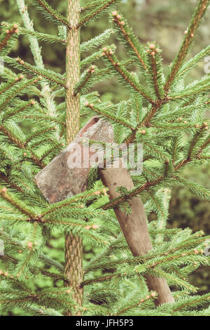 Axt im Wald Stockfoto