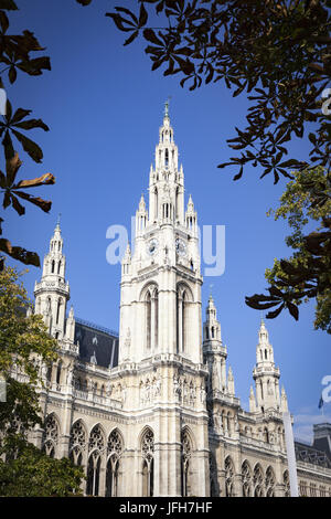 Das Rathaus in Wien Österreich Stockfoto