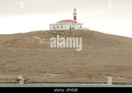 Magdalena Island - Chile Stockfoto