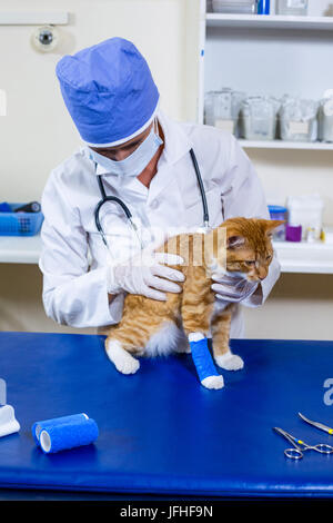 Tierarzt mit Maske der Prüfung einer Katze auf Prüfung Tabelle Stockfoto