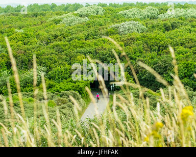 Frau Reiten Fahrrad durch Wald Stockfoto