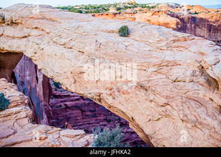 Berühmte Mesa Arch im Canyonlands National Park Utah USA Stockfoto