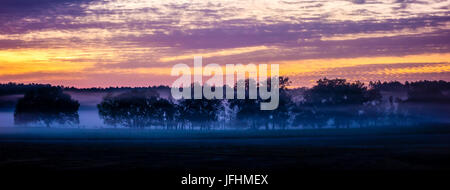 Abstrakte sunrise Landschaft auf dem Bauernhof in Florida Stockfoto