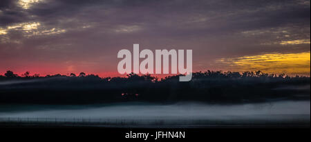 Abstrakte sunrise Landschaft auf dem Bauernhof in Florida Stockfoto