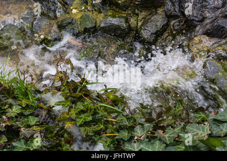 Kleiner Wasserfall, Kaskade über Bemoosten Felsbrocken fließt Stockfoto