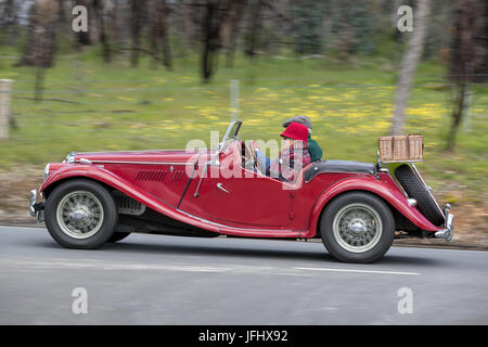 Jahrgang 1954 MG TF Tourer fahren auf der Landstraße in der Nähe der Stadt Birdwood, South Australia. Stockfoto