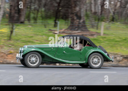Jahrgang 1954 MG TF 1250 Tourer fahren auf der Landstraße in der Nähe der Stadt Birdwood, South Australia. Stockfoto