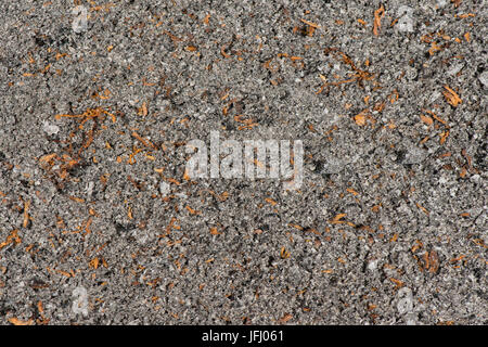 Zigarette cinder fotografiert als Hintergrund und Textur Stockfoto