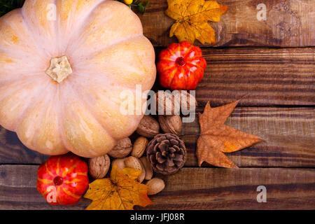 Große Kürbis und Muttern Stockfoto