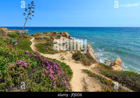 Blühende Küste Atlantikblick (Algarve, Portugal). Stockfoto