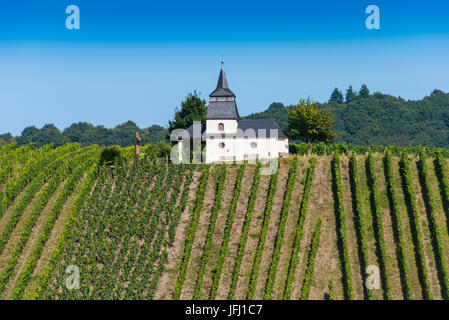 Europa, Deutschland, Rheinland-Pfalz, Landkreis Trier-Saarburg, der Mosel, Mittelmosel, römische Weinstraße, Leiwen, Laurentius-Kapelle in den Weinbergen an der Mosel mit Trittenheim (Dorf) Stockfoto