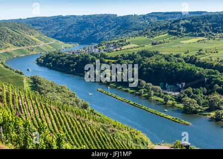 Europa, Deutschland, Rheinland-Pfalz, Landkreis Cochem-Zell, Mosel, Moseltal, Pünderich, Marienburg (Burg) Stockfoto