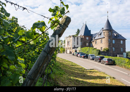 Deutschland, Rheinland-Pfalz, Landkreis Trier-Saarburg, Morscheid, Schloss Marienlay, Stockfoto