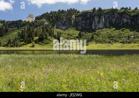 Körbersees, Felsen, Holz, Wiese, Ufer, Gipfel Stockfoto