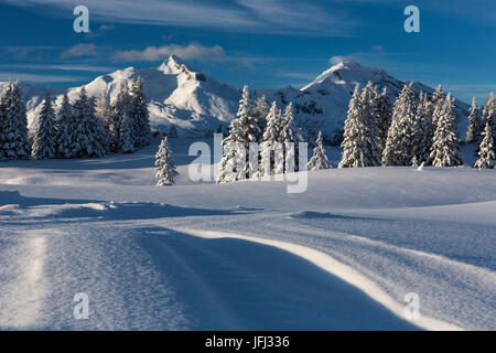 Verschneite Landschaft im Churer Rheintal Stockfoto