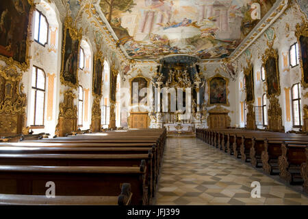 Europa, Deutschland, Bayern, Ingolstadt, Asam-Kirche, Maria de Victoria Oratorium der Sodalität von Notre-Dame, baut im Jahr 1736, Deckengemälde von Cosmas Damian Asam, Barock, Innendekoration Rokoko, Stockfoto