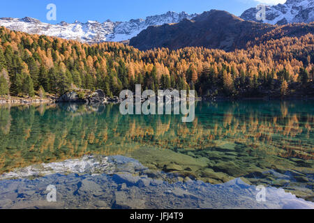 Herbst am Lago di Saoseo, Schweiz, Kanton Graubünden, Poschiavo Stockfoto
