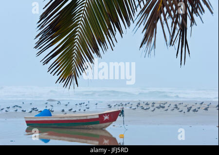 Arabien, Arabische Halbinsel, Sultanat Oman, Dhofar, südlich von Salalah, Oman Taqah, Boot am Strand Stockfoto