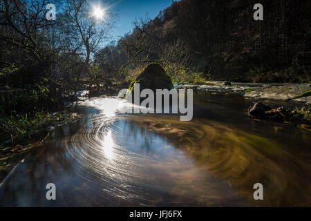 Bunten Herbstlaub in einem Bachlauf im Gegenlicht, Triebtal, Vogtland, Sachsen, Deutschland Stockfoto