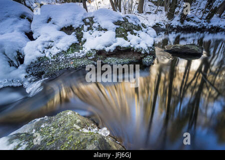 Bachlauf im Winter Holz, Triebtal, Vogtland, Sachsen, Deutschland Stockfoto