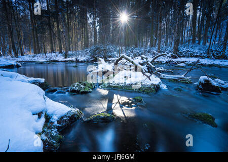 Verlauf eines Flusses im Winter Holz, Triebtal, Vogtland, Sachsen, Deutschland Stockfoto