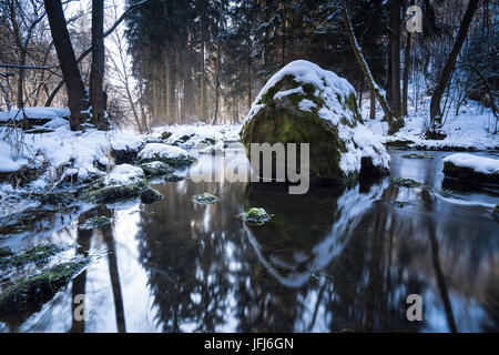 Bachlauf im Winter Holz, Triebtal, Vogtland, Sachsen, Deutschland Stockfoto