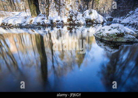 Bachlauf im Winter Holz, Triebtal, Vogtland, Sachsen, Deutschland Stockfoto