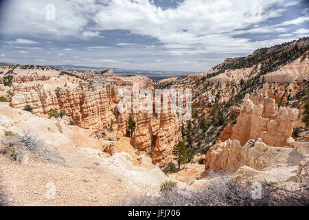 Rock-Pyramiden in Bryce Canyon Nationalpark, Utah, USA Stockfoto