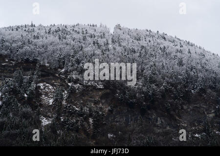 Blick von der Riedl Glasherstellung auf der Kufsteiner Holz, Kufstein, Tirol, Österreich Stockfoto