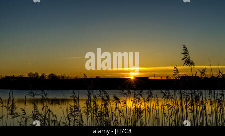 Murnauer Moore in den Sonnenuntergang, Landkreis Garmisch-Partenkirchen, Bayern, Deutschland Stockfoto