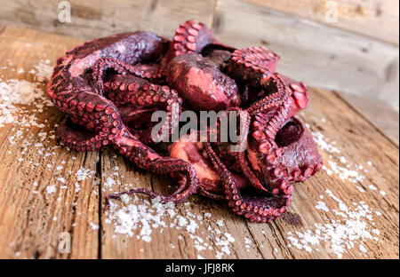 Frischer Tintenfisch auf Schneidebrett eine typische Zutat für die gesunde italienische Küche Stockfoto