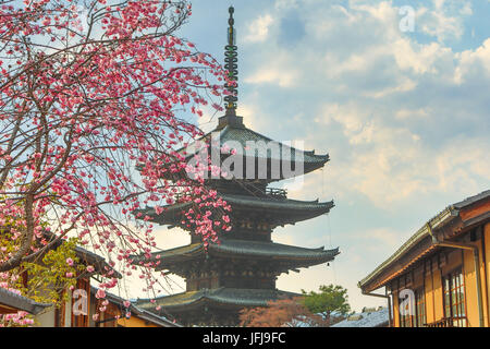 Japan, Kyoto City, Pagode und Blüten Stockfoto