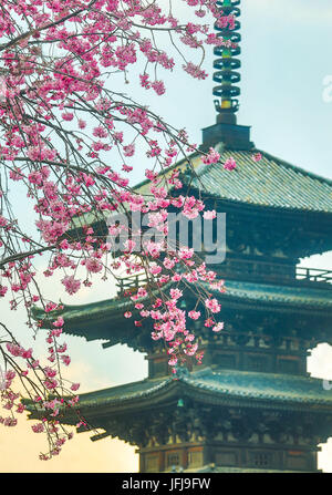 Japan, Kyoto City, Pagode und Blüten Stockfoto