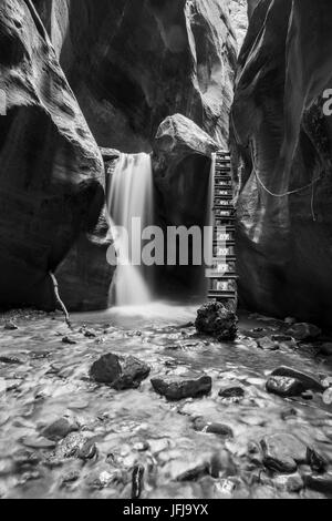 Schwarz / weiß Langzeitbelichtung Wasserfall und Leiter in Kanarra Creek Canyon, Kanarraville, Iron County, Utah, USA, Stockfoto