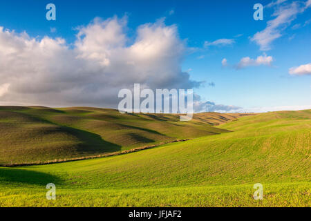 Val d ' Orcia, Provinz Siena, Italien, Toskana, Stockfoto